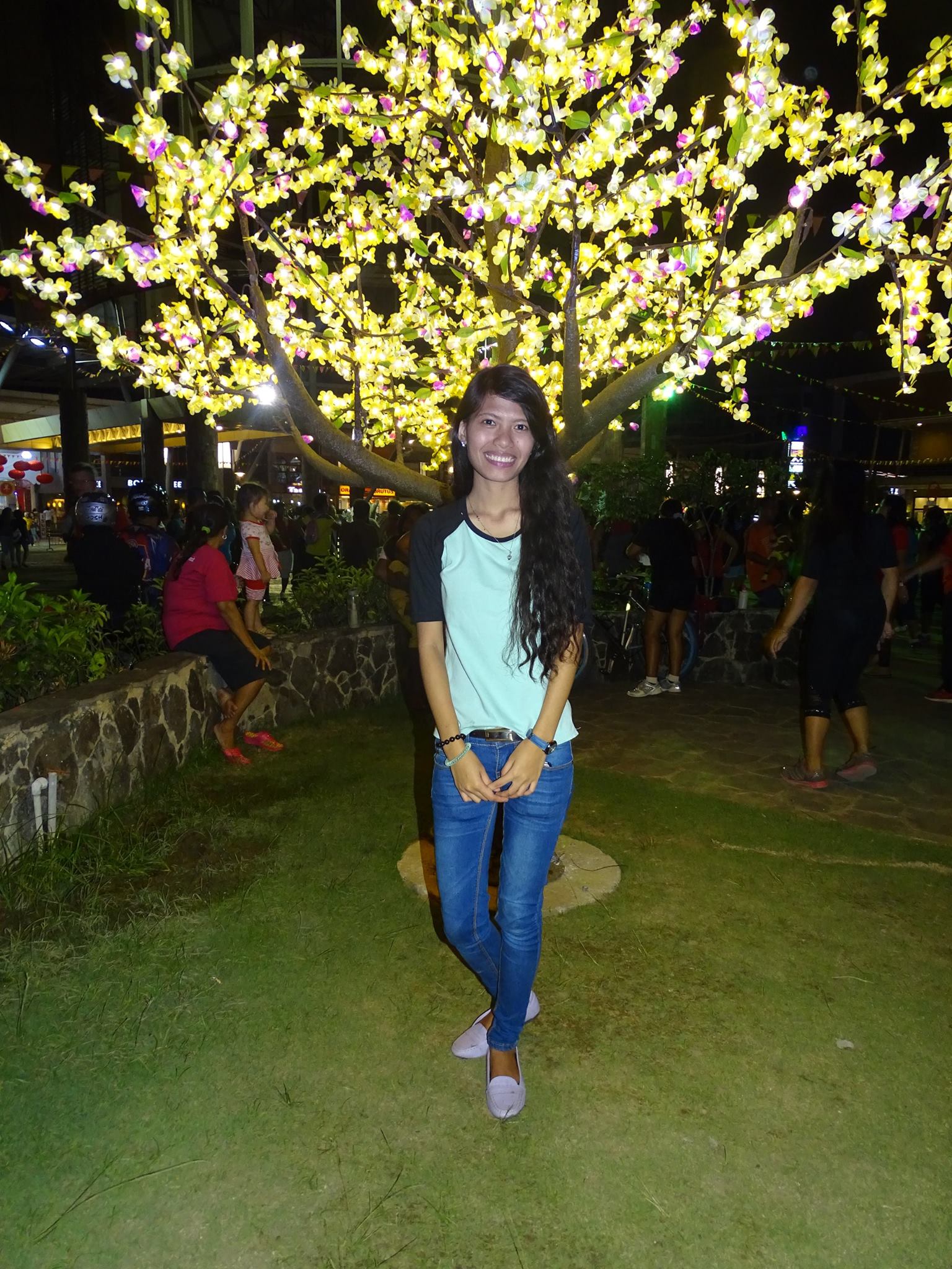 Led Light Mango, Parkmall Cebu Led Light Mango Tree, Parkmall Cebu