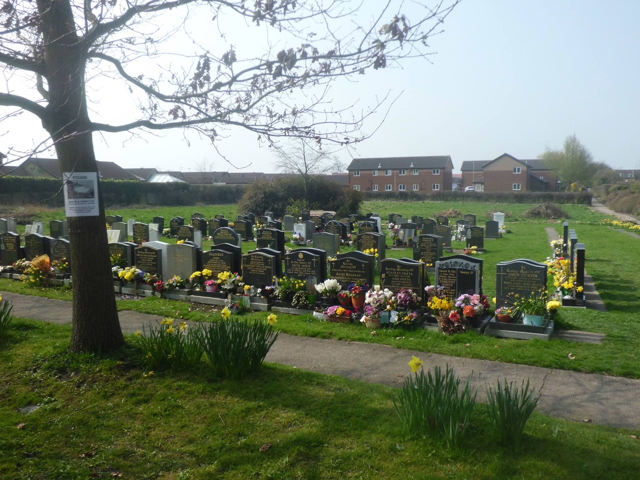 Yorkshire Cemetery, England, UK