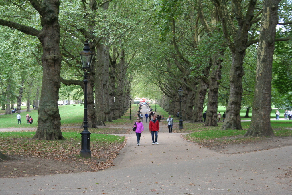 Nice Scenery in London Nice Scenery in London